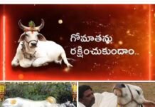 గోమాత ప్రేమికులకు పాదాభివందనాలు