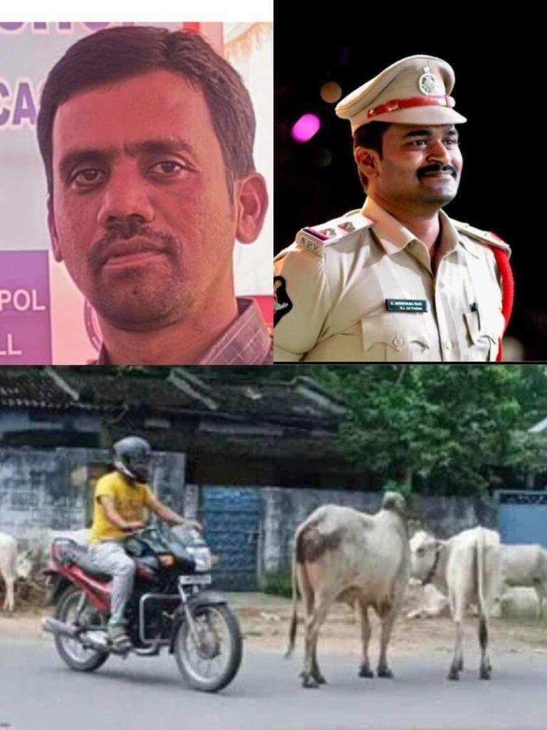 పశువులను రోడ్లపైకి వదిలితే చర్యలు తప్పవు..